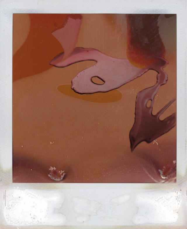 04pola2011web