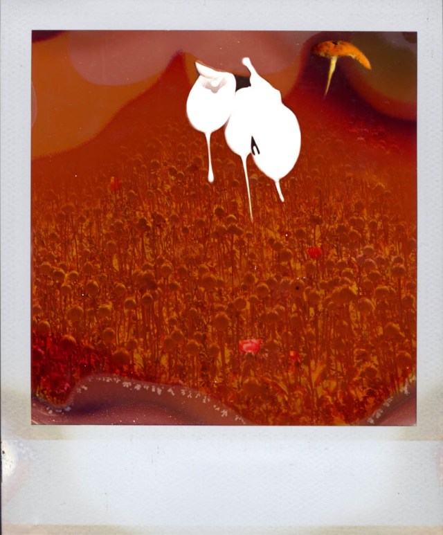 08pola2011web